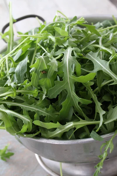 Preparar Hojas Frescas Ensalada —  Fotos de Stock