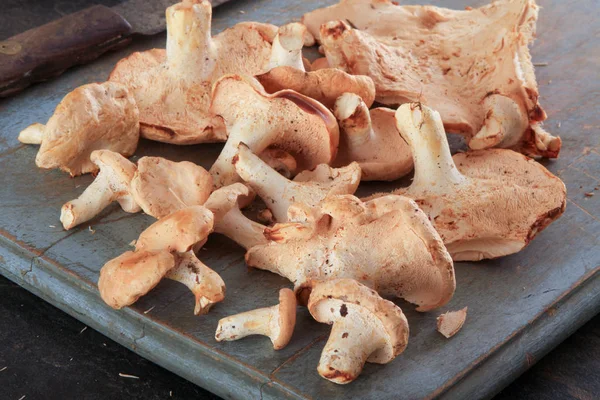 餐桌上新鲜的未煮蘑菇 — 图库照片
