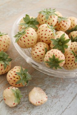 taze çam-berry meyve