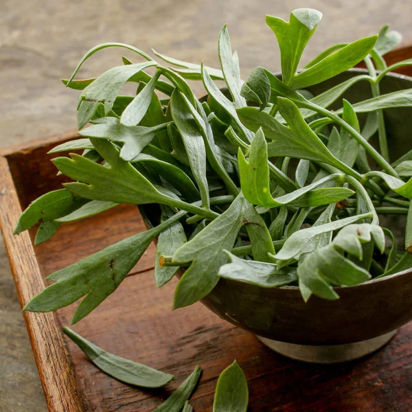 Preparar Samphire Roca Tazón —  Fotos de Stock