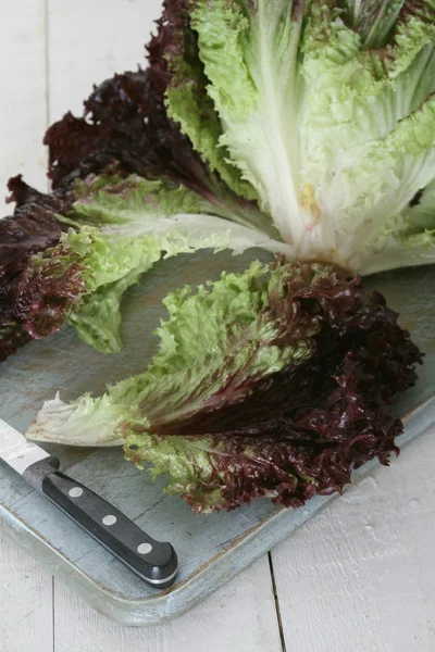 Frische Gesunde Salatblätter — Stockfoto