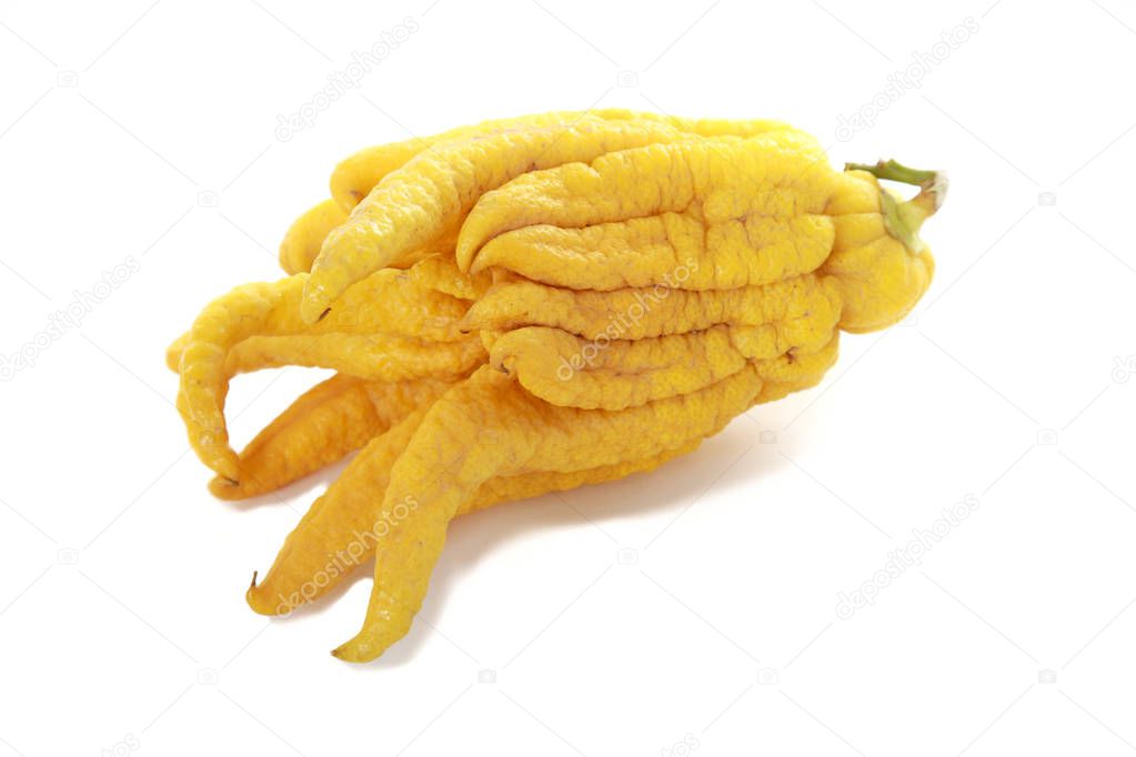 buddhas hand citrus fruit