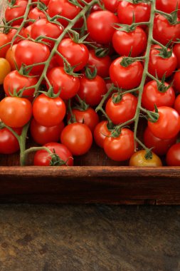 taze asma olgun domates