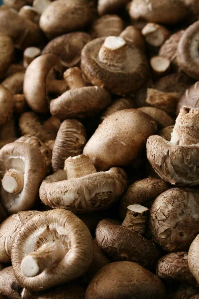 Preparing Fresh Shitake Mushrooms — Stock Photo, Image