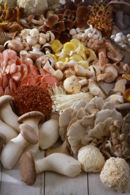 taze çiğ egzotik mantar çeşitleri bir seçki