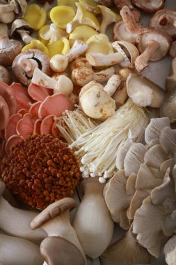 taze çiğ egzotik mantar çeşitleri bir seçki