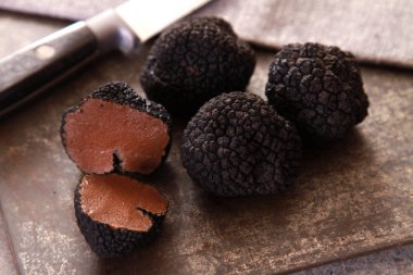 preparing fresh black ground truffles clipart