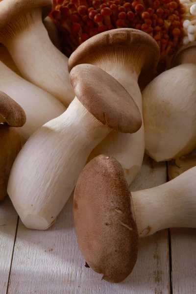 Una Selezione Varietà Funghi Esotici Freschi Crudi — Foto Stock