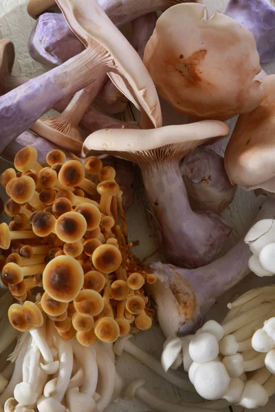 Una Selezione Varietà Funghi Esotici Freschi Crudi — Foto Stock