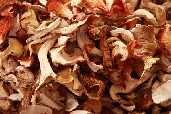 Cogumelos Exóticos Selvagens Misturados Secos — Fotografia de Stock