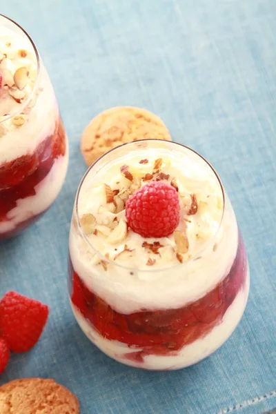 Frambozen Fruit Dessert Trifle — Stockfoto