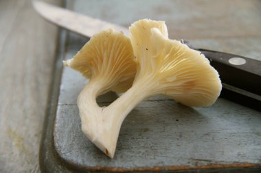 masanın üzerine taze çiğ mantar