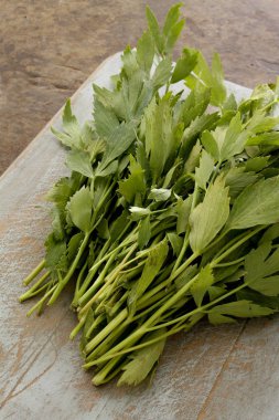 sağlıklı taze maydanoz hazırlanıyor