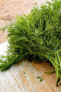 taze dereotu ot Grup