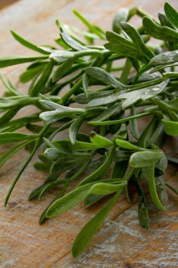 Rock samphire tablo hazırlama