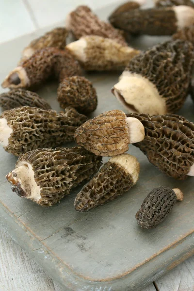 Cogumelos Frescos Não Cozidos Mesa — Fotografia de Stock