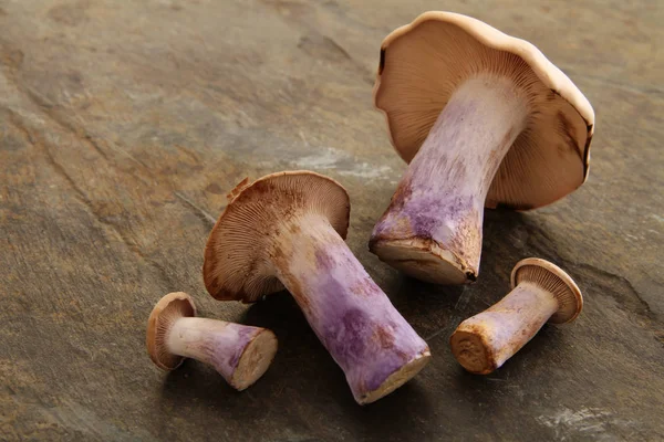 Champiñones Frescos Sin Cocer Sobre Mesa — Foto de Stock