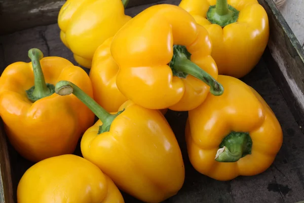 Preparing Fresh Peppers Table — Stock Photo, Image