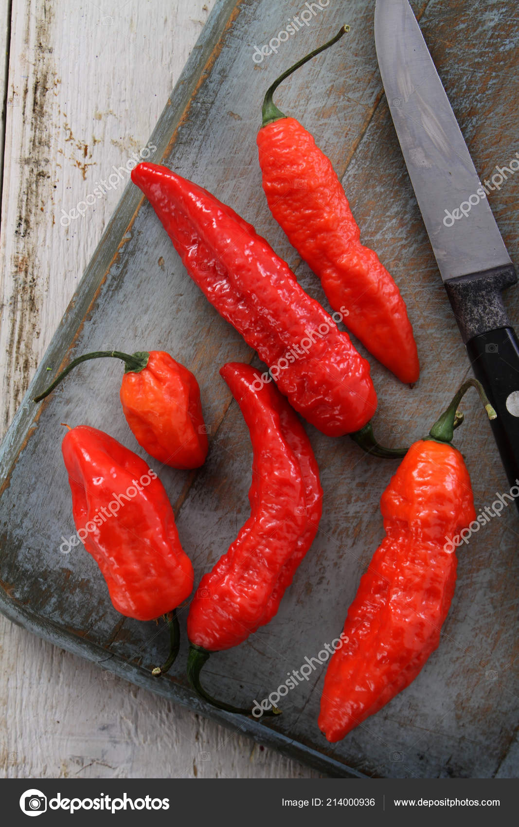 chillie naga jolokia peppers stock photo c neillangan 214000936 https depositphotos com 214000936 stock photo chillie naga jolokia peppers html