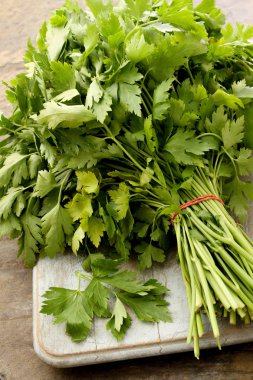 sağlıklı taze maydanoz hazırlanıyor