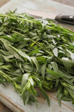 taze tarhun ot hazırlanıyor