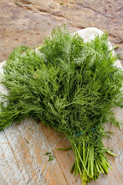 Fresh Dill Herb Bunch — Stock Photo, Image