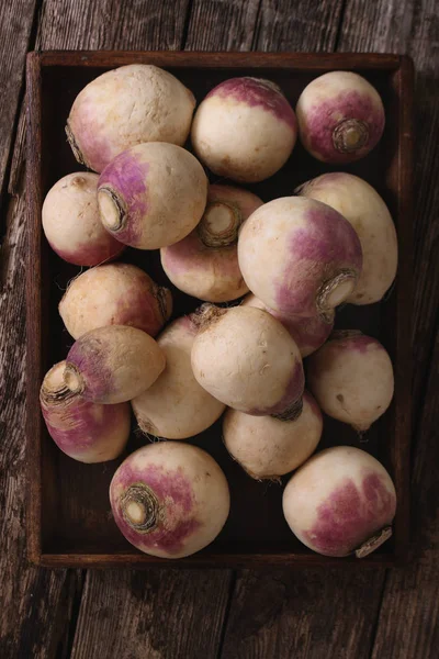 Preparing Fresh Turnip Vegetables — Stock Photo, Image