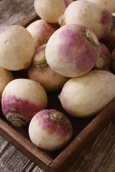 preparing fresh turnip vegetables