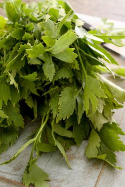 sağlıklı taze maydanoz hazırlanıyor