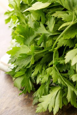 taze Frenk maydanozu ot bir grup hazırlanıyor