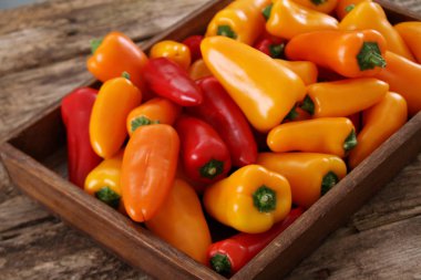 masanın üzerine taze biber hazırlanıyor