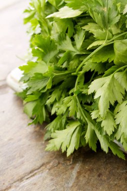 taze Frenk maydanozu ot bir grup hazırlanıyor