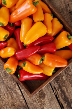 masanın üzerine taze biber hazırlanıyor