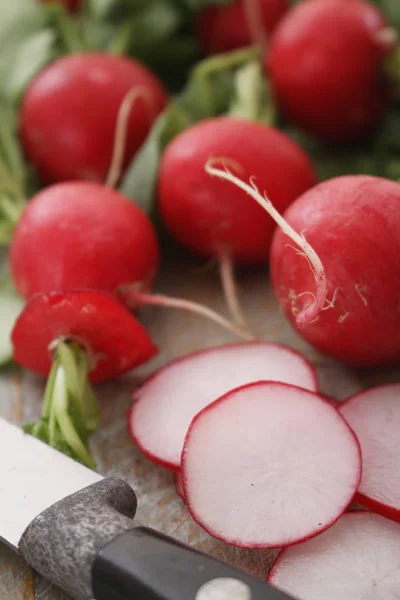 Preparación Rábanos Rojos Europeos Frescos — Foto de Stock