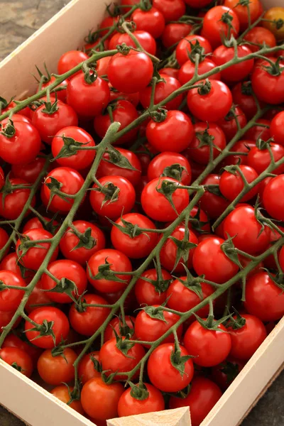 Frische Reife Köstliche Tomaten — Stockfoto
