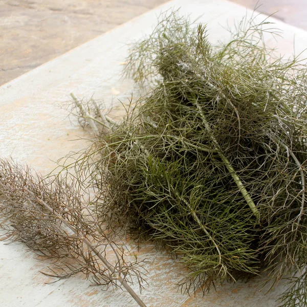 Bronze fennel Stock Photos, Royalty Free Bronze fennel Images