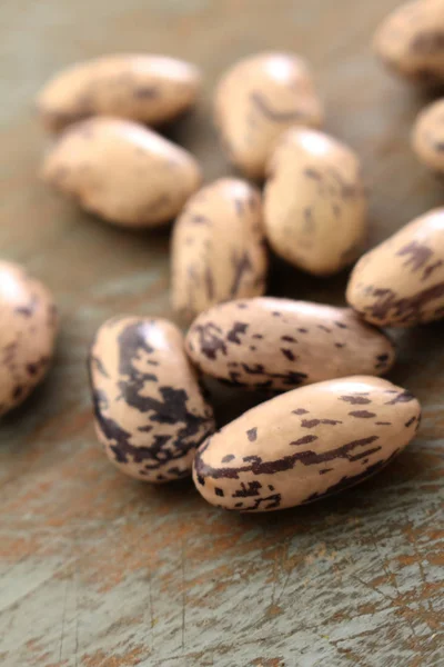 Fresh Raw Borlotti Beans — Stock Photo, Image