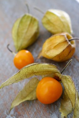 taze meyve physalis masada