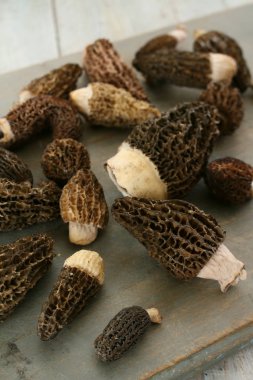 masanın üzerine taze çiğ mantar