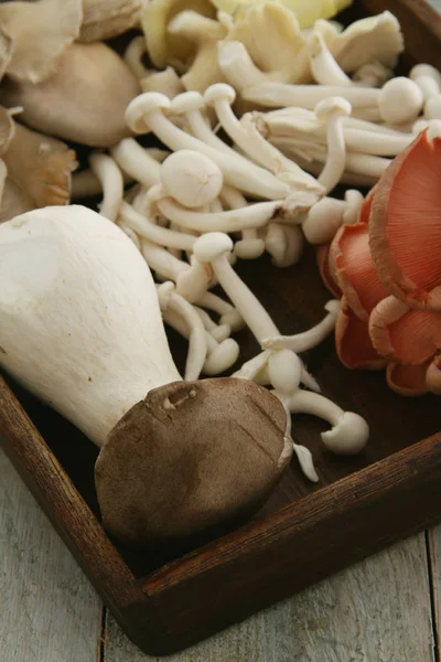 Funghi Freschi Crudi Sul Tavolo — Foto Stock