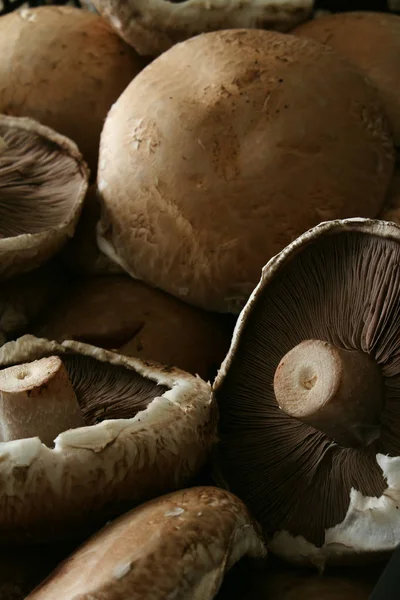 Funghi Freschi Crudi Sul Tavolo — Foto Stock