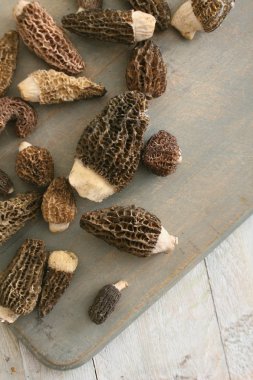 masanın üzerine taze çiğ mantar