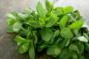 taze nane ot hazırlanıyor