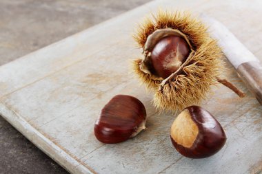 Olgun kestane tablo hazırlama 