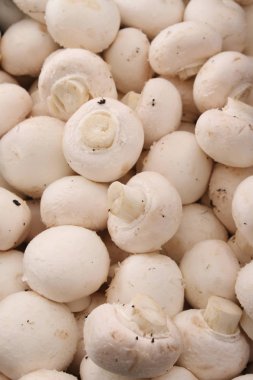 masanın üzerine taze çiğ mantar