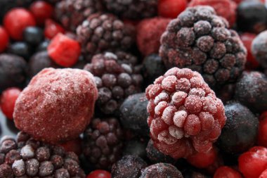 taze dondurulmuş meyve ve sebze üretimi