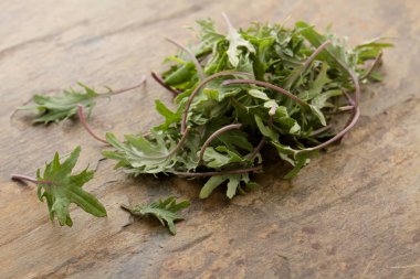 yaprakları taze lahana hazırlanıyor