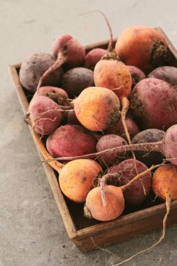 karışık ham miras beetroots