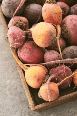 karışık ham miras beetroots