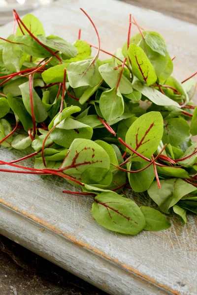 Hojas Ensalada Sabrosas Frescas —  Fotos de Stock